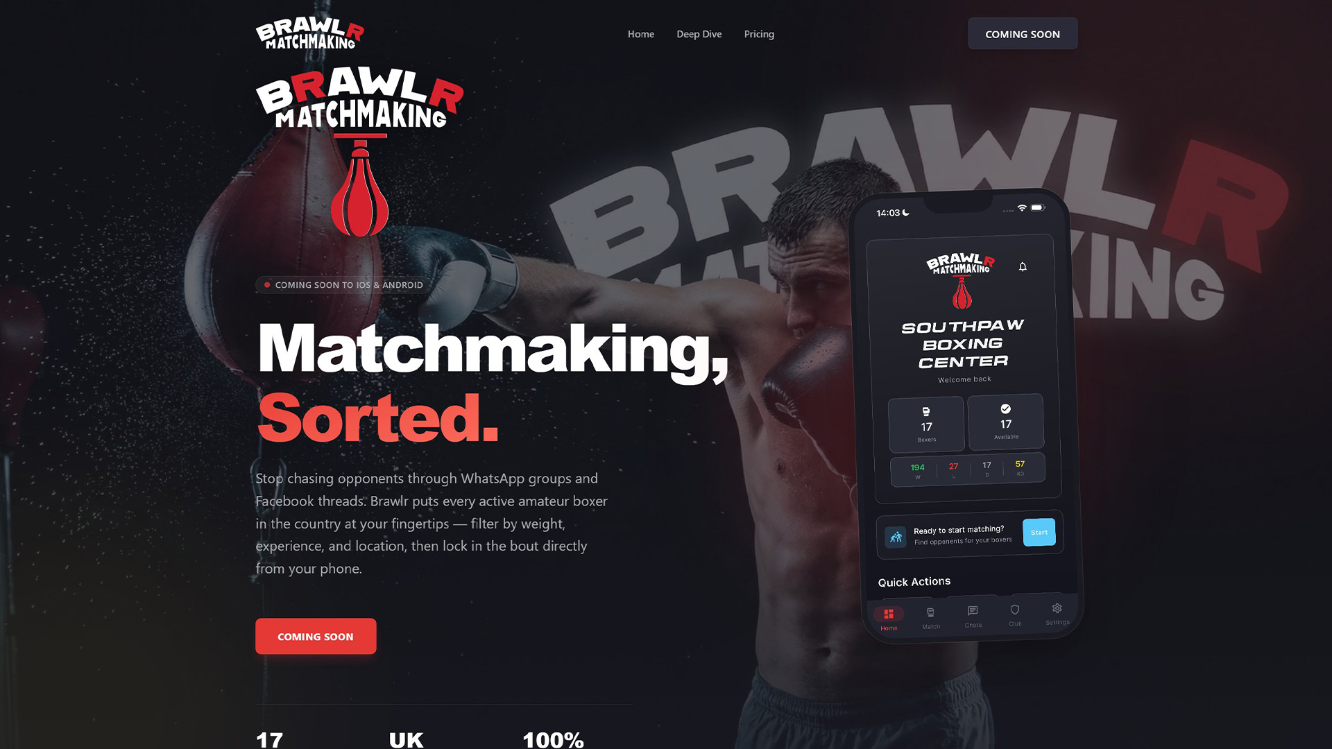 Brawlr project artwork